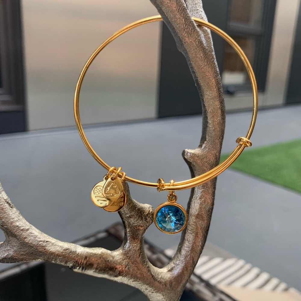 Alex & Ani Gold Bangle Bundle - Picture 3 of 8